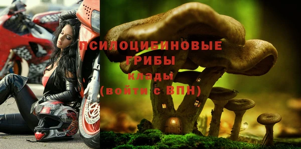 МДПВ Зеленокумск